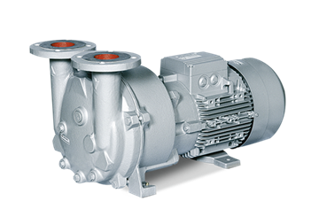 L-BV5 vacuum pumps